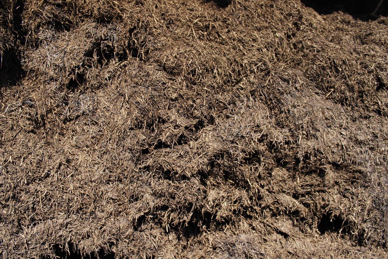 1950 – PRODUCING SUBSTRATE