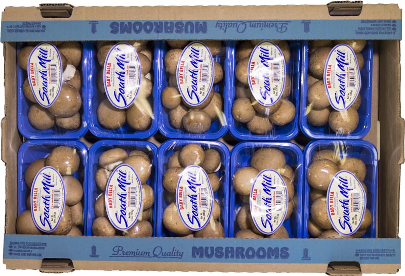 Cremini Mushrooms | South Mill Mushroom Sales | Fresh Mushrooms
