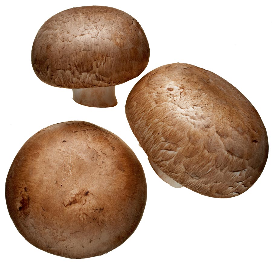 Cremini Mushrooms | South Mill Mushroom Sales | Fresh Mushrooms
