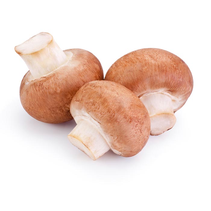 Cremini Mushrooms South Mill Mushroom Sales Fresh Mushrooms