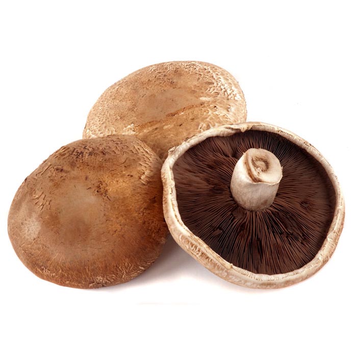 Portabella Mushrooms — South Mill Mushroom Sales | Fresh ... Portabella Mushrooms — South Mill Mushroom Sales | Fresh ...