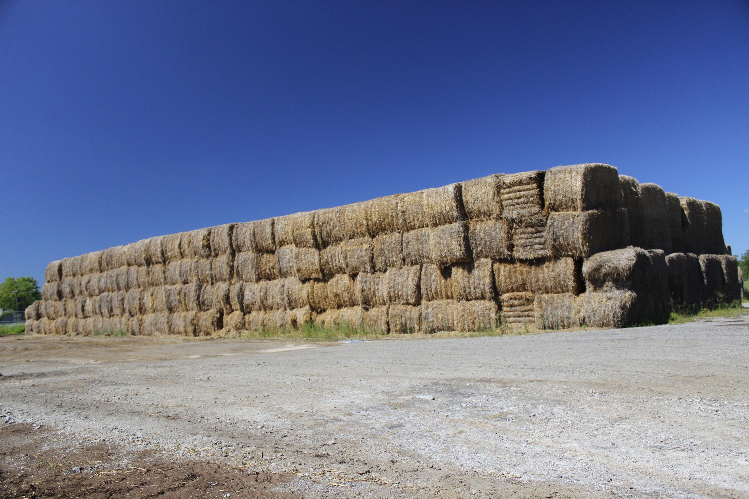 2012 – STRAW BALING BEGINS