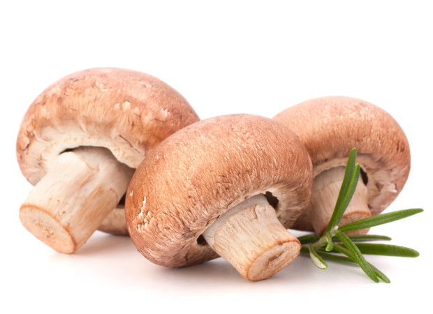 Fresh Mushrooms Fresh Mushrooms